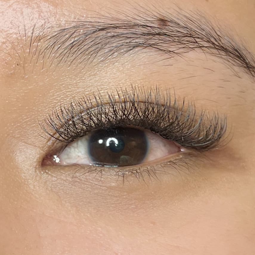 Volume Lash