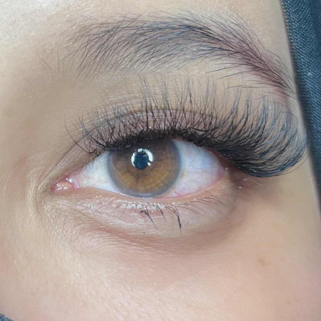 Medium Lash